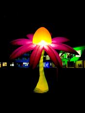 Lange Nacht der Wissenschaft 2015